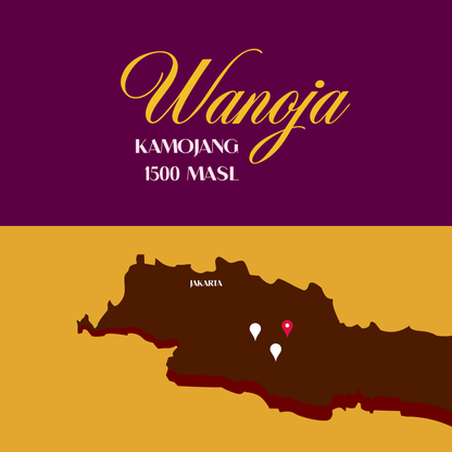 Best of West Java - Filter Bundle