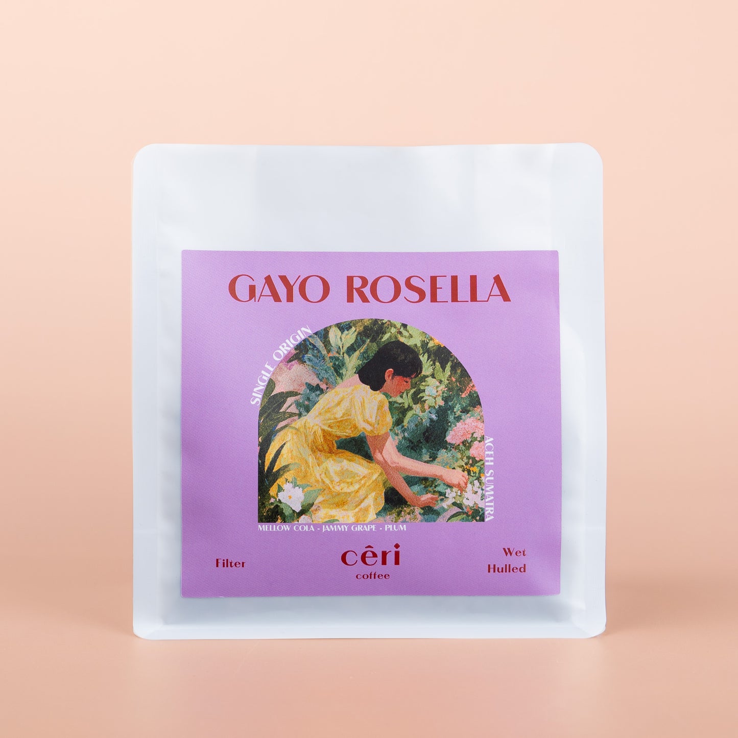 Gayo Rosella - Filter