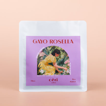 Gayo Rosella - Filter