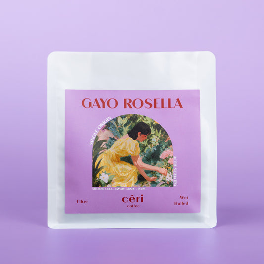 Gayo Rosella - Filter